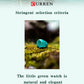 CURREN Fashion Women's Watches Leather Strap Quartz Wristwatch Classic Simple Thin Watch
