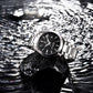 PAGANI DESIGN Miyota 8215 Men Mechanical Wristwatches New Sapphire Glass Automatic Watch Waterproof 100M Stainless Watch for Men