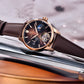 2025 PAGANI DESIGN New Pilot Men Mechanical Watch Luxury Sapphire Glass Moonphase Watch 10bar Waterproof Automatic Watch for Men