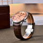 New PAGANI DESIGN Luxury Sapphire Glass Men's Mechanical Watches Automatic Movement Waterproof Stainless Steel Watches for Men