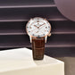 New PAGANI DESIGN Luxury Sapphire Glass Men's Mechanical Watches Automatic Movement Waterproof Stainless Steel Watches for Men