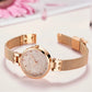 MEGIR Fashion Ladies Bracelet Watches Steel Mesh Band Quartz Wristwatch Women Dress Clock Waterproof Female Gifts Reloj Mujer