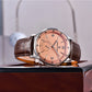 New PAGANI DESIGN Luxury Sapphire Glass Men's Mechanical Watches Automatic Movement Waterproof Stainless Steel Watches for Men