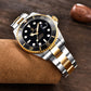 2025 Pagani design men's automatic watches Luxury Sapphire mirror waterproof mechanical watch Stainless Steel sports men's watch