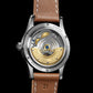 Boderry HOU Vintage Automatic Watch 100M Waterproof Business Mechanical Watches Birthday Gift For Men Boyfriend Husband