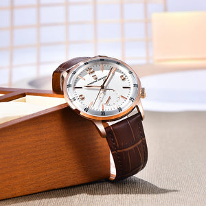 New PAGANI DESIGN Luxury Sapphire Glass Men's Mechanical Watches Automatic Movement Waterproof Stainless Steel Watches for Men