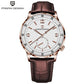 New PAGANI DESIGN Luxury Sapphire Glass Men's Mechanical Watches Automatic Movement Waterproof Stainless Steel Watches for Men