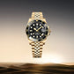 2025 PAGANI DESIGN New PD-1662 V5 Men Mechanical Watches Luxury Ceramic Bezel Automatic Watch 100M Waterproof GMT Watch for Men